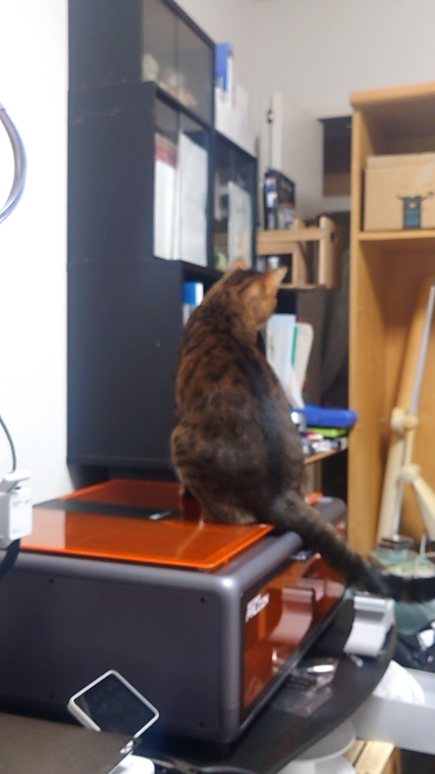 レーザー加工機のオレンジ色のふたの上に座る、わが家の猫・京介。
